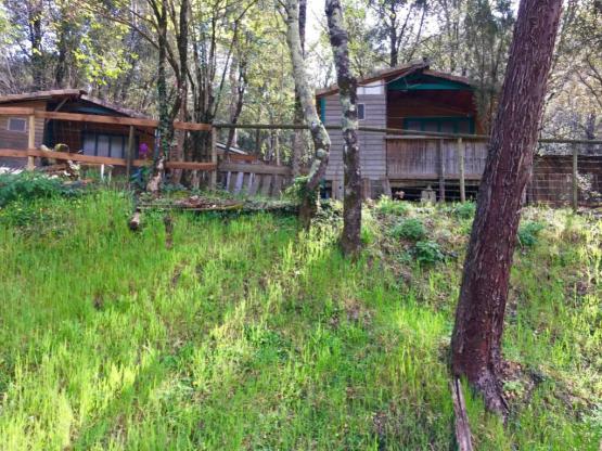 Chalet Érable et Pêcher - 2 bedrooms