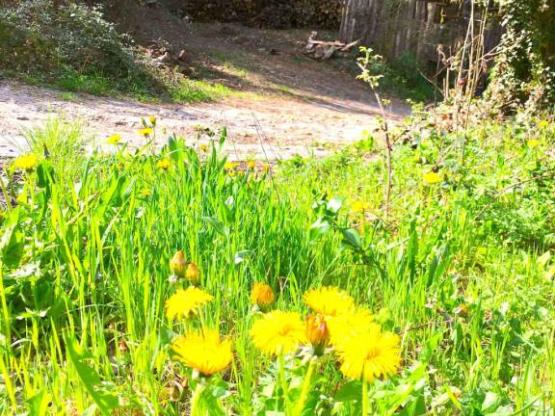 Chalet 5 à 7 personnes - 2 bedrooms