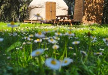 Camping Mille Etoiles