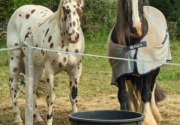 Aux Lodges du Mas de Nadal