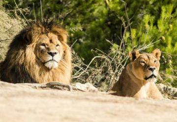 Camping Seasonova Ensoya