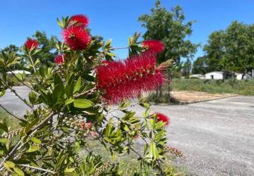 Camping Seasonova Ensoya