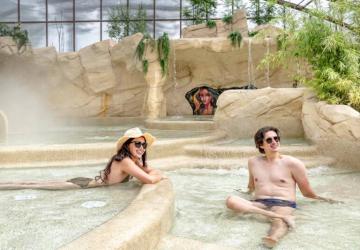 Flower Camping Au Bois Des Biches