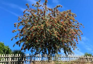 Les Rives du Lac de Laouzas