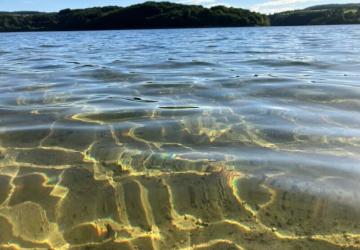 Les Rives du Lac de Laouzas