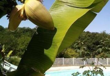 Camping Domaine Le Quercy