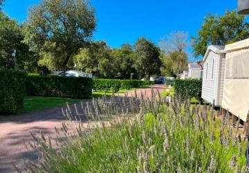 Camping les Floralies
