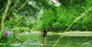 Domaine Chasteuil Verdon Provence